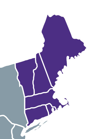 Rachel MacDougall - CT, ME, MA, NH, RI, VT